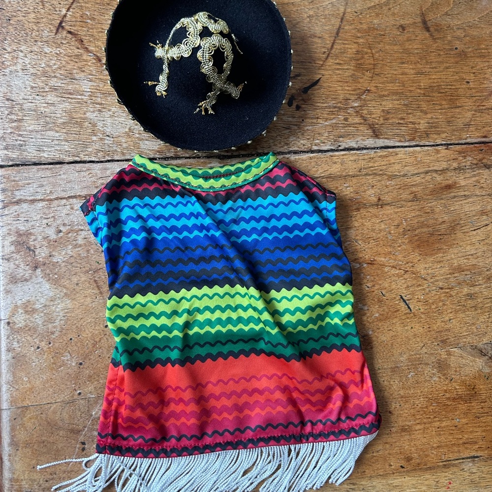 NWOT. Dog Halloween Mexican Poncho and Sombrero